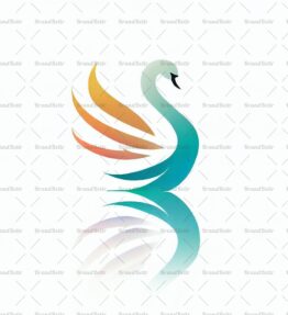 Anmutiger Schwan und Spiegelung